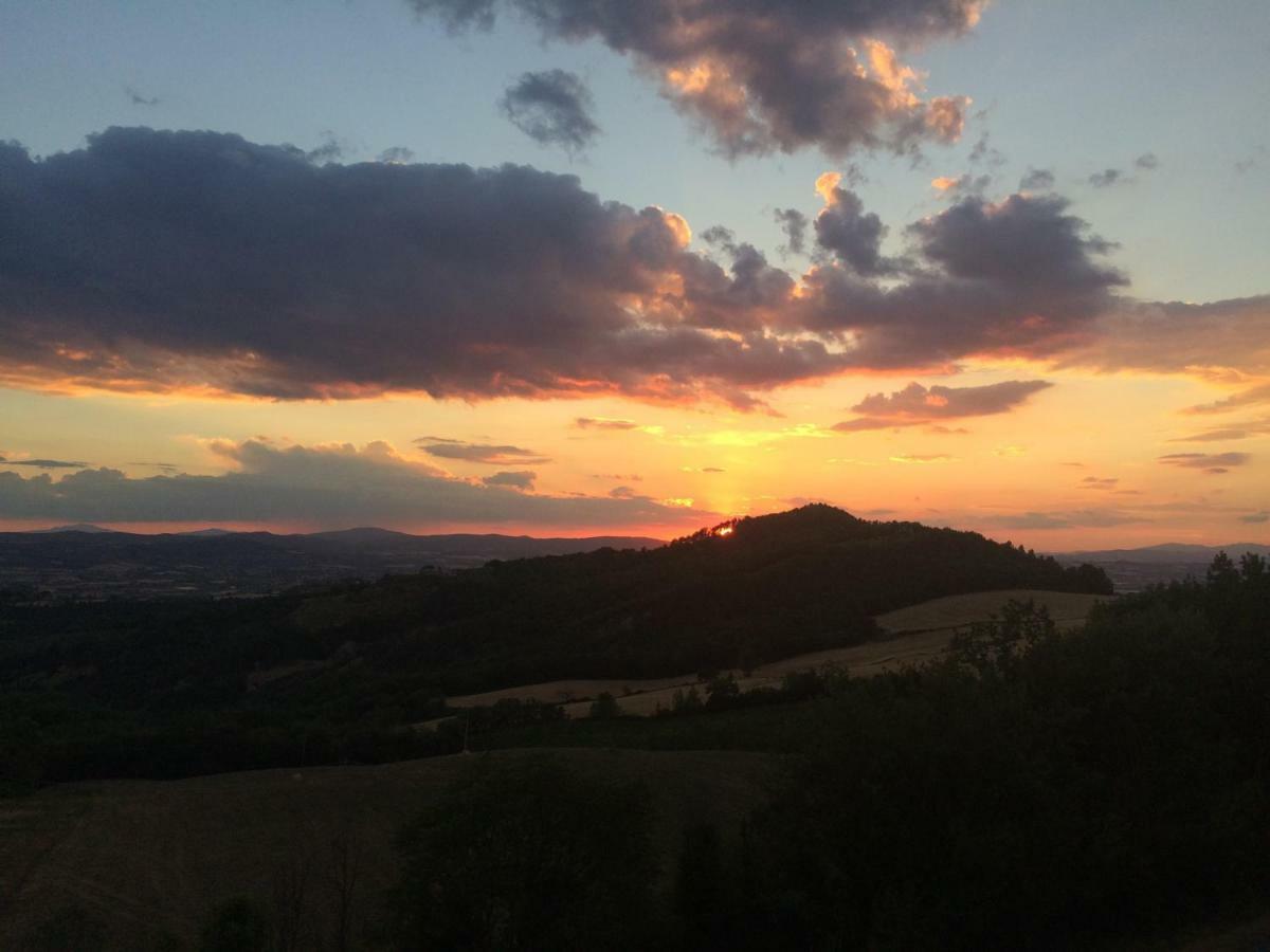 Umbria, "Casa Sagrantina" Con Piscina E Pergolato Apartment Collazzone Ngoại thất bức ảnh