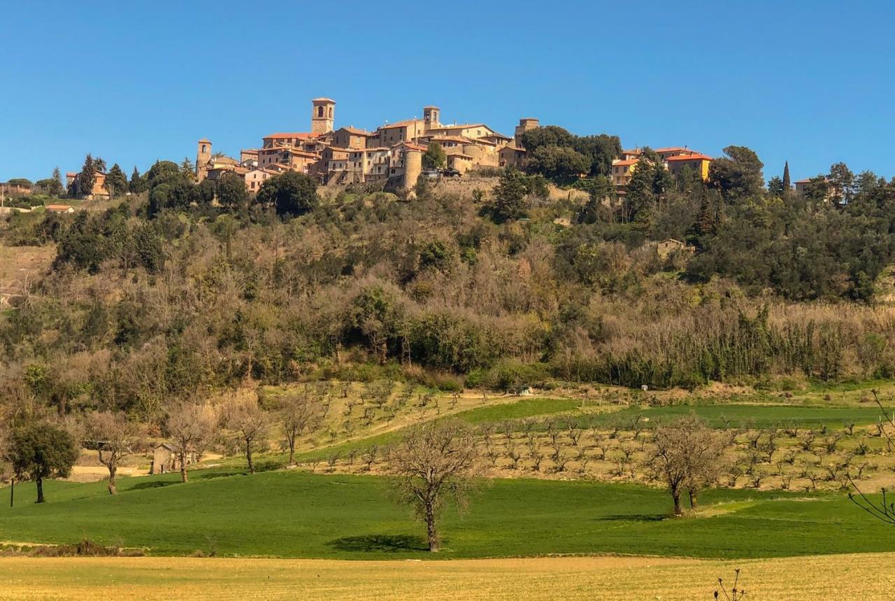 Umbria, "Casa Sagrantina" Con Piscina E Pergolato Apartment Collazzone Ngoại thất bức ảnh