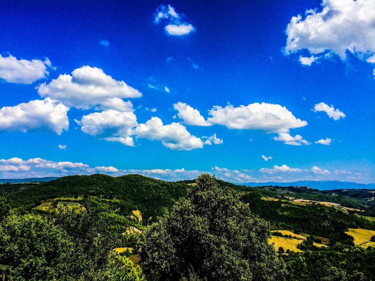 Umbria, "Casa Sagrantina" Con Piscina E Pergolato Apartment Collazzone Ngoại thất bức ảnh